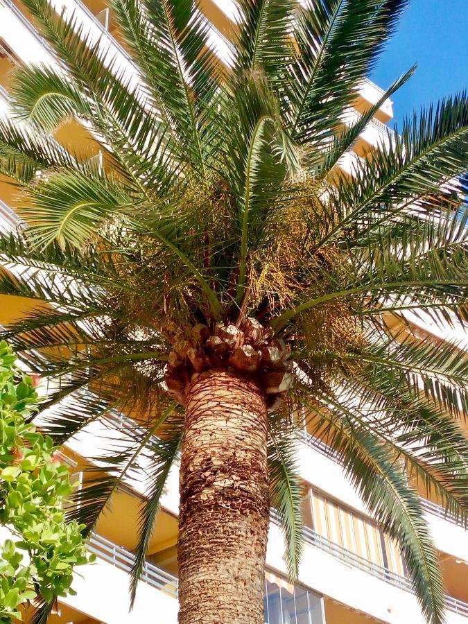 شقة Voramar كاليبي المظهر الخارجي الصورة