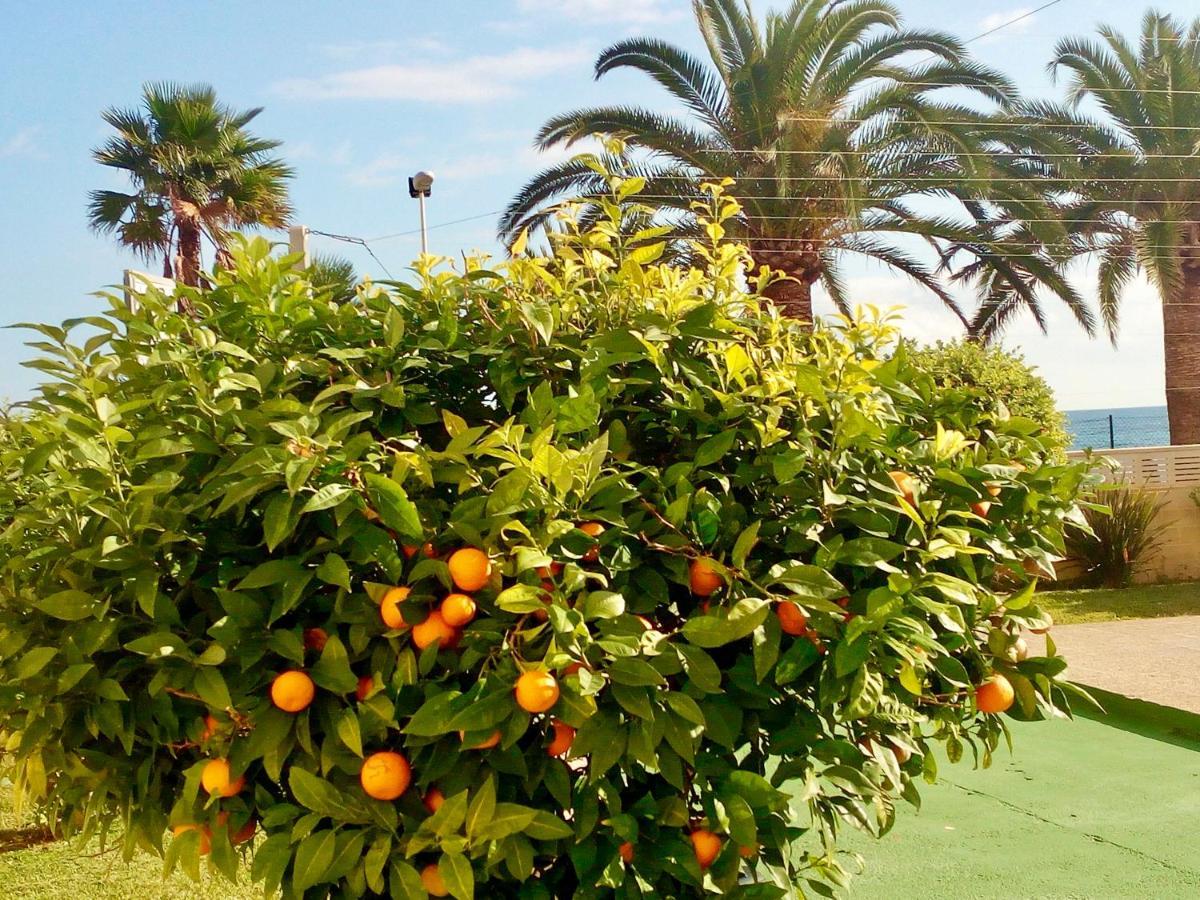 شقة Voramar كاليبي المظهر الخارجي الصورة